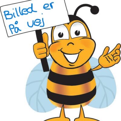 Begynderpakke - Readan NM eller LN